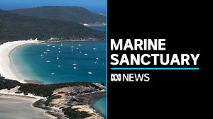 After more than a decade of negotiations, the countries of the United Nations have secured the first-ever treaty to protect the world’s oceans that lie outside national boundaries. Jessica Panegyres from the Greenpeace says the High Seas Treaty is a historic breakthrough and will push for the highest levels of protection. | ABC News