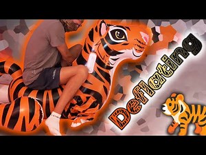 Deflating the Sunwave Tiger! 🐯💨