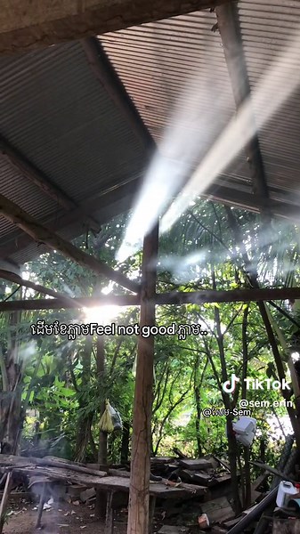 Creating a Rustic Outdoor Kitchen Setup