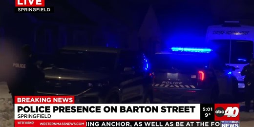 Springfield Police investigating deadly overnight shooting