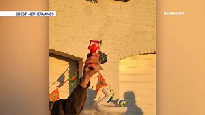 33K views · 481 reactions | Mesmerizing ✨ This family was left amazed when a bubble began to freeze over in mid-air right before their eyes. | The Weather Network | Facebook