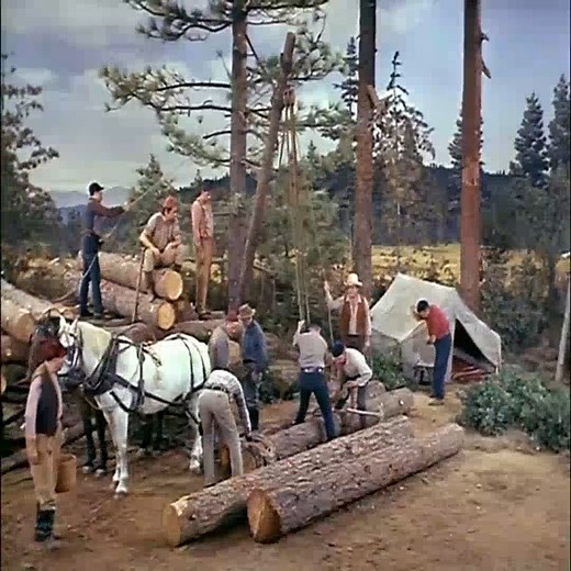 Bonanza Temporada 5 Capitulo 13 – La flor de la vida #P5 #Bonanza #bonanza1959 #cowboy #cartwright #peliculas | Amigos de Bonanza