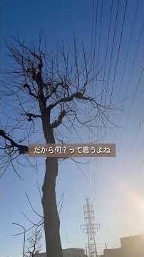 子どもに心理的虐待をしてしまった