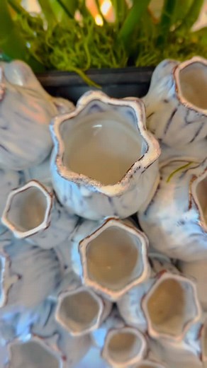 12 reactions | Fabulous dinning experience onSouth Padre Island with water-front views! Explore an array of culinary flavors and tailored cocktails and unwind with spectacular Sunset and Bay views on the patio!☀️寧️ #views #spi #oysterbar #southpadreisland #craftcocktails #captainscove #bayviews #spichamber | Captain's Cove Oyster Bar | Facebook