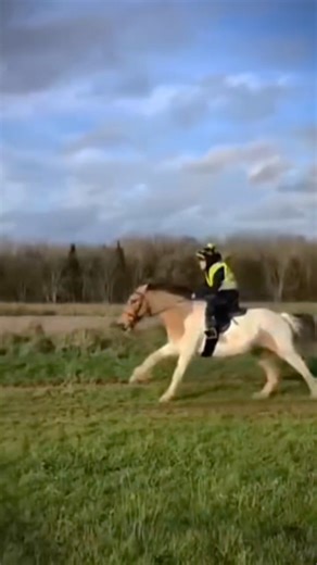 Obsessed with this gallop it was so fast 😍💕 #fasthorse #gallop #galloping #fast #trending #fypシ