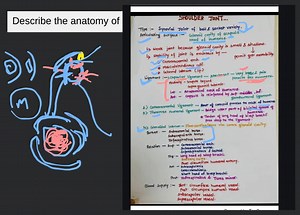describe-the-anatomy-of-stability-of-shoulder-joint-3132353035383239