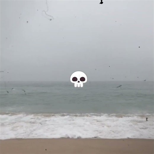 POV: you hear something beyond the fog..