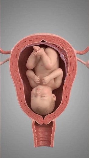 What Happens During Labour Contractions? 🤰 | How Contractions Help Deliver a Baby