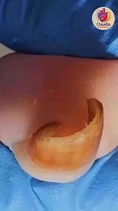 18K views · 154 reactions | Ep.933 Small kitchen grocery shopping with smart labels #SmartGroceryTips #HeartHealthyDiet #WellnessLiving | Claudia Pandolfi | Facebook