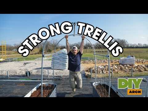 How We Built This DIY Garden Arch for Raised Beds and Climbing Plants