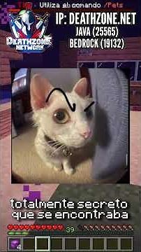 👉 ¿EL PRIMER MEJOR AMIGO DE LA NUEVA VERSIÓN EN MINECRAFT? | SERVIDOR DE MINECRAFT 🏆