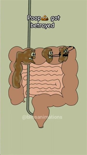 How poop 💩 arrive from our body (4k memes) #shorts