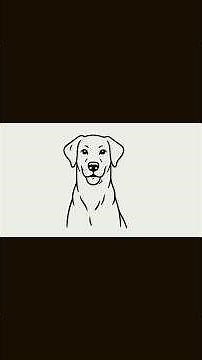 How to draw a Labrador Retriever dog?