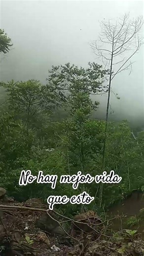 la mejor vida