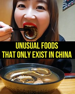 Most Unusual Foods that Only Exist in China | We Love Africa