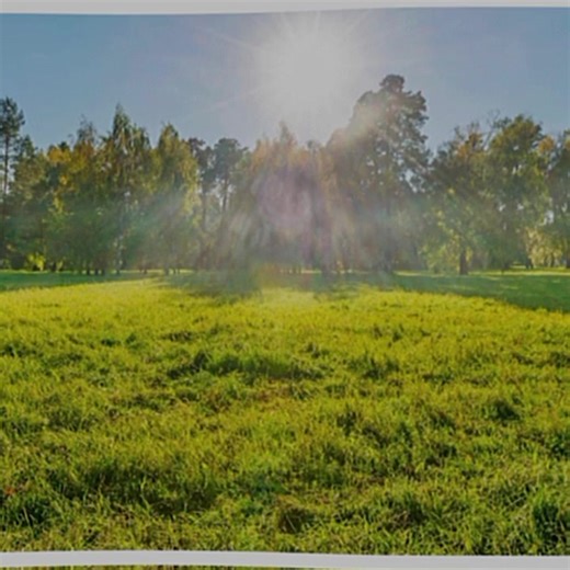 agatha 2960 (@aagatha2960)’s videos with dumb de Gi - ᥫ᭡# ᥴhᥲꫀzαη∂σσ 🌀 !