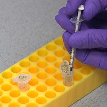 비디오: Bioluminescence Imaging of Neuroinflammation in Transgenic Mice After Peripheral Inoculation of Alpha-Synuclein Fibrils(알파-시누클레인 피브릴의 말초 접종 후 형질전환 마우스의 신경염증에 대한 생물발광 이미징)