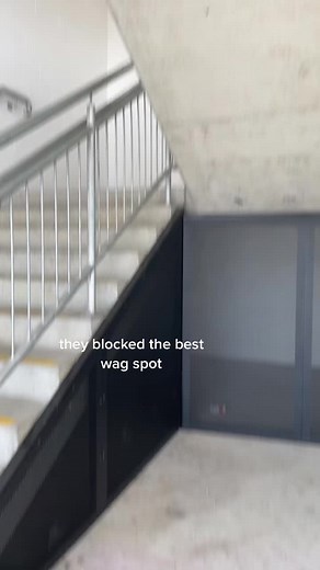 Discover the Best Wagging Spots with Sly Corton