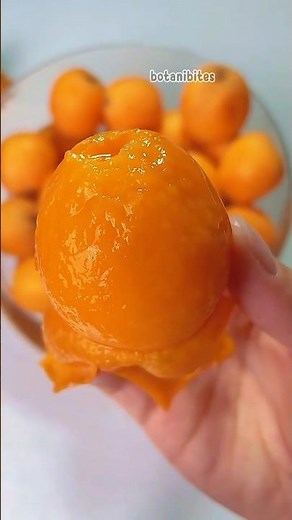 Loquat: The Mysterious Tropical Fruit You Never Knew Existed