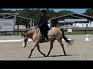 Western Dressage Basic Level Test 4
