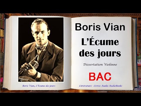 Boris Vian, L’Écume des jours - Résumé, Analyse