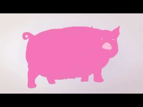 channel 5 adverts pdtv