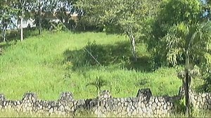 5.7K views · 142 reactions | In another home invasion story, an 88...