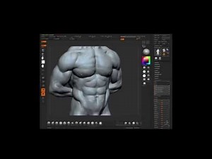 Zbrush speed sculpt - torso - anatomy study