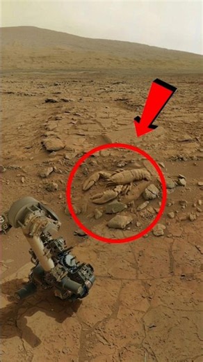 Curiosity Rover Captured Shocking Mars Footage – Is This a Sign of Life? #shorts