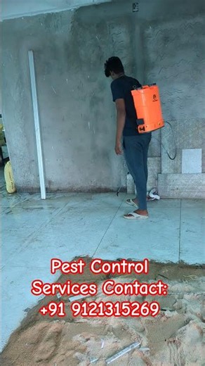 Pest Control Services #ad #pestcontrol #ytshorts