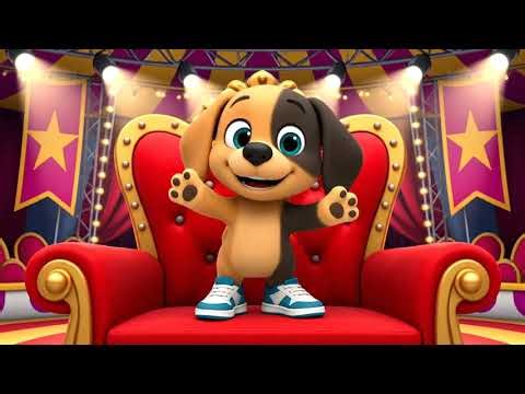 Kungau the Circus Dog Balances a Bike on a Tightrope — Incredible!