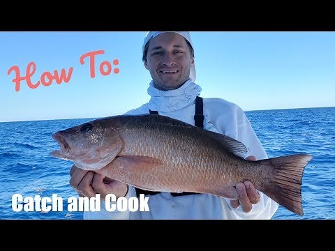 How to Catch MONSTER Snapper on Florida Keys Patch Reefs | Catch and Cook