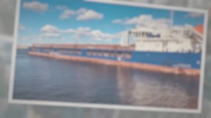 Who Can Own A Cargo Ship? (Explained)