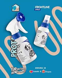 Defend your dogs and cats against fleas and ticks #WithFrontline Spray! Your Pet’s FURtection HOWL-over. Get it Lazada and Shopee!  LAZADA: https://s.lazada.com.ph/l.ZeXo SHOPEE: https://shope.ee/7KOfUvPOca | Frontline Pet Care PH | Facebook