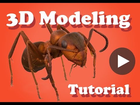 ETHZ Entomological Collection | 3D Insects | 3D Modeling Tutorial