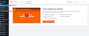 What is Store Checkout?