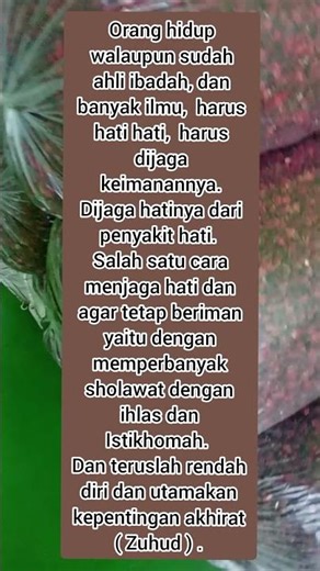 pentingnya menjaga keimanan #shorts