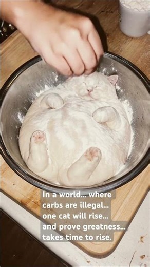 THE DOUGHFATHER #TheDoughfather#BreadCat