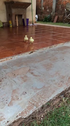 #mrsand #mrsandmanchallenge