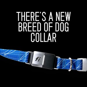 GPS location tracking. Activity and sleep monitoring. 24/7 Lost Dog Mode. Geo-fence escape alerts. Up to 3 months battery life. Try Fi today. | Fi
