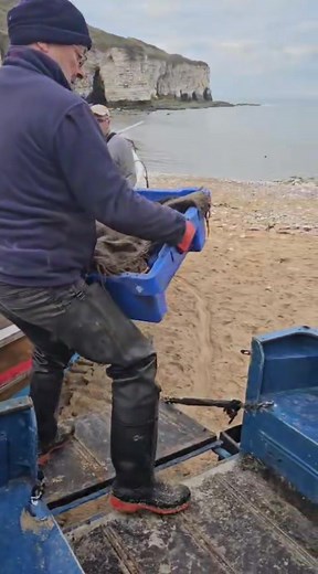 Second day being back at sea, all pots are confirmed safe - happy fisherman 🙌 | East Coast Shellfish