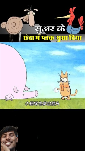 सुअर के छेदा में #funny #corona