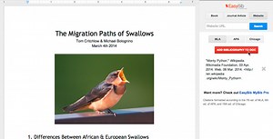 Google Add-Ons Boost Docs And Sheets In New Word Strike - SlashGear