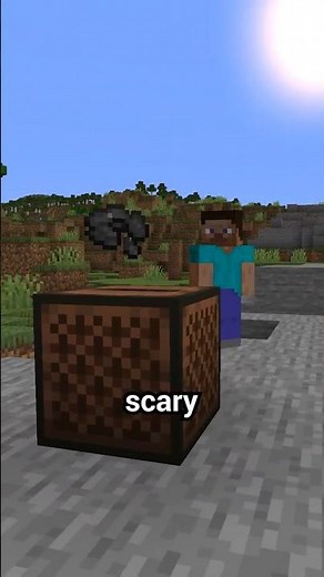 Minecraft Players Never Noticed This…