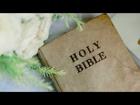 Ephesians - KJV - Audio Bible - Dramatized