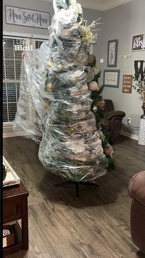 Genius woman reuses last year’s Christmas tree