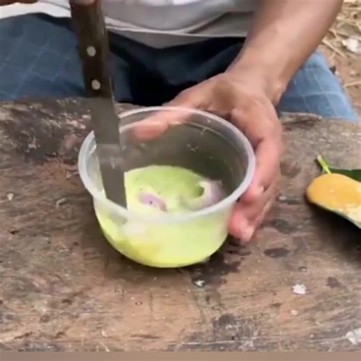 Planting mango #mango #mangoes #mangoseason Mango selling farmers group | Violita Padayon