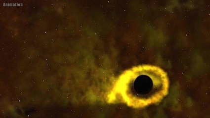 Hubble discovery black hole twists star into donut shape
