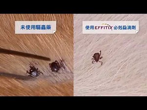 去去壁蝨走！擺脫親自拔除壁蝨的可怕陰影