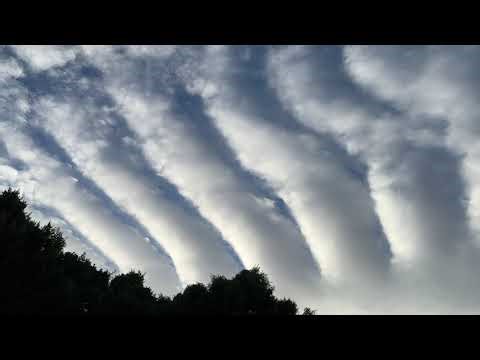 Creative Inspiration from The MASTER CREATIVE ARTIST